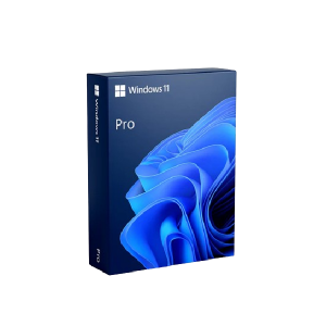 Windows11 pro